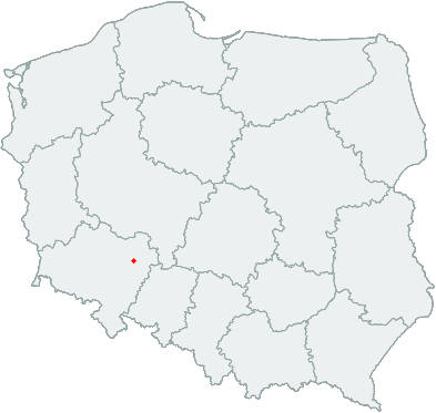 Przekaż 1,5% na Organizacje z Wrocławia, pobierz PIT Format
